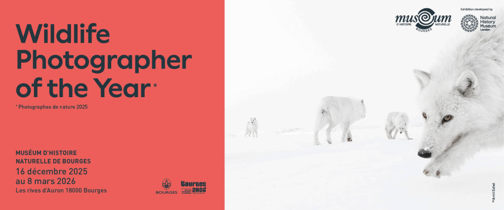 Photographes de Nature